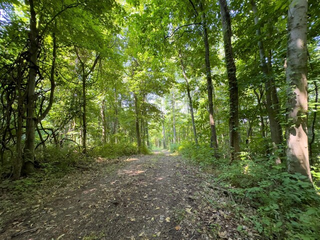 3579 Township Road 124 NE, Somerset, OH 43783 - photo 5