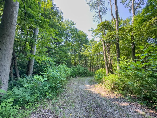 3579 Township Road 124 NE, Somerset, OH 43783 - photo 6