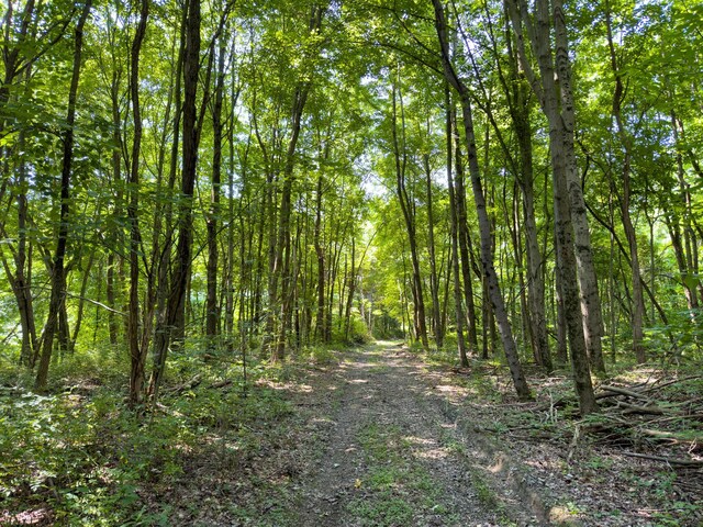 3579 Township Road 124 NE, Somerset, OH 43783 - photo 14