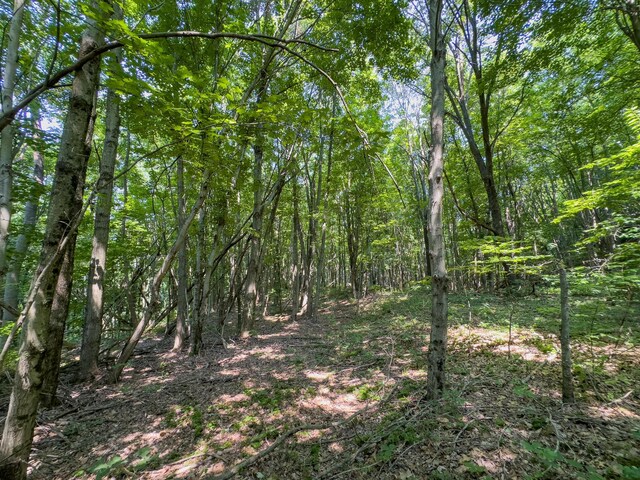 3579 Township Road 124 NE, Somerset, OH 43783 - photo 19