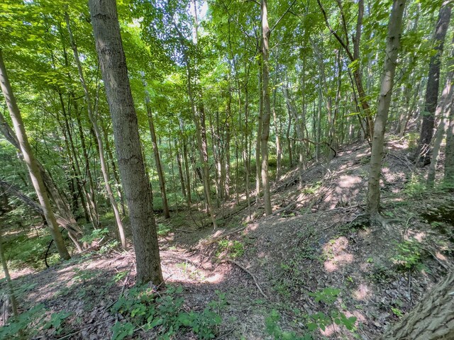 3579 Township Road 124 NE, Somerset, OH 43783 - photo 21