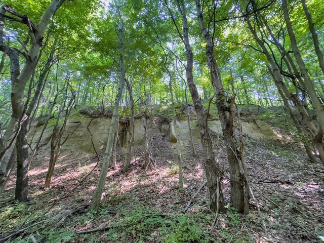 3579 Township Road 124 NE, Somerset, OH 43783 - photo 23
