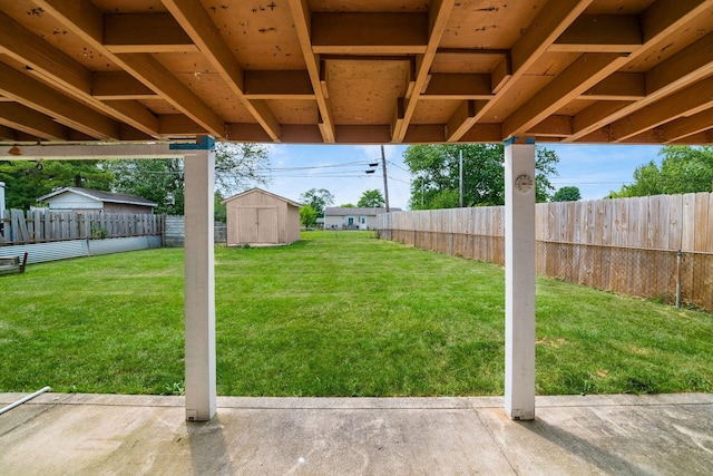 view of yard featuring a patio area and a storage shed