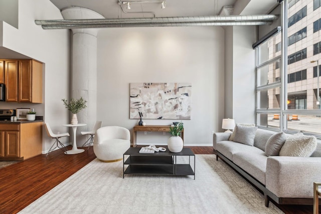 221 N Front St Unit 101, Columbus, OH 43215 - living room with wood finished floors and a high ceiling