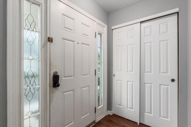 foyer entrance with a wealth of natural light and dark hardwood / wood-style flooring