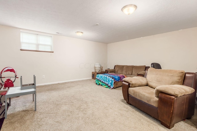 living room with carpet