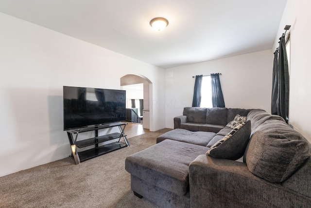 living room featuring carpet floors