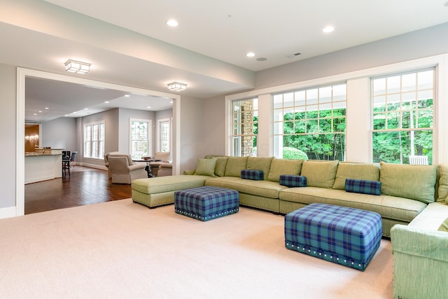 living room featuring hardwood / wood-style floors