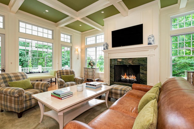 living room featuring a fireplace, a high ceiling, and a healthy amount of sunlight