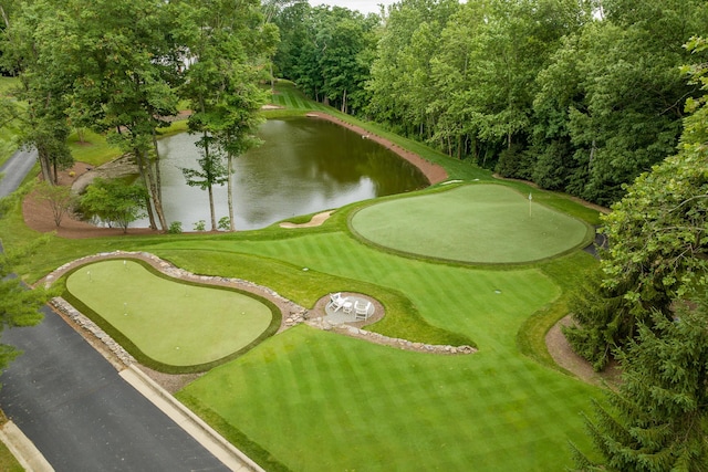 surrounding community with a water view