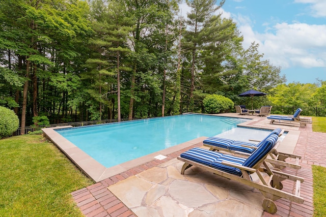 view of pool featuring a patio area