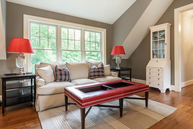 living room with hardwood / wood-style flooring and vaulted ceiling