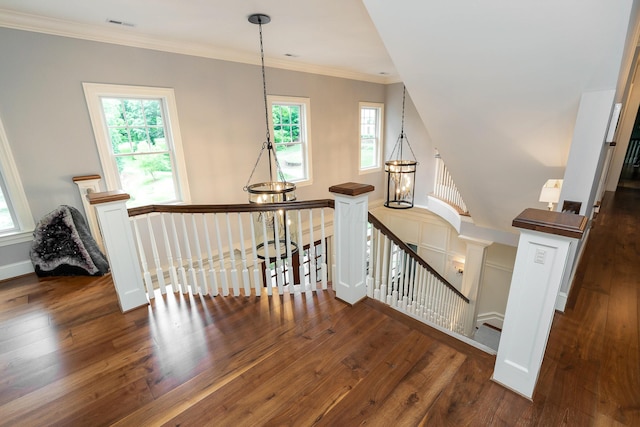 stairs featuring plenty of natural light, hardwood / wood-style floors, and ornamental molding