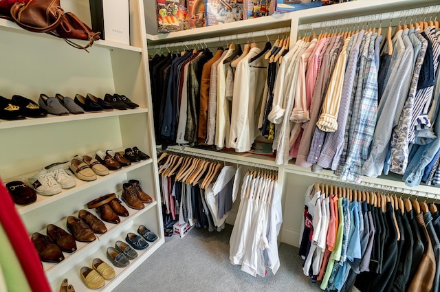 walk in closet with carpet floors