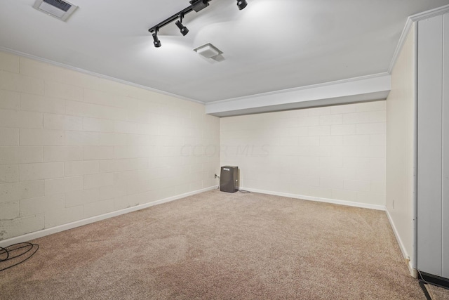 basement featuring carpet floors, rail lighting, and crown molding