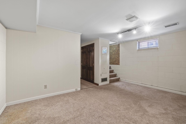 basement with light colored carpet