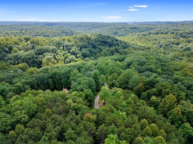 17441 Keister Rd, Laurelville, OH 43135 - bird's eye view of a heavily wooded area