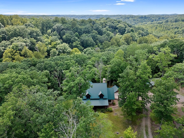 aerial view