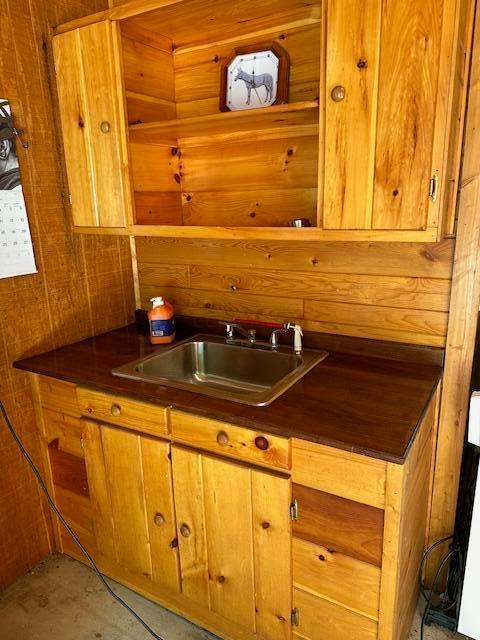 kitchen with wooden walls and sink