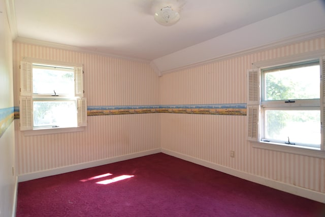 carpeted spare room with plenty of natural light and crown molding