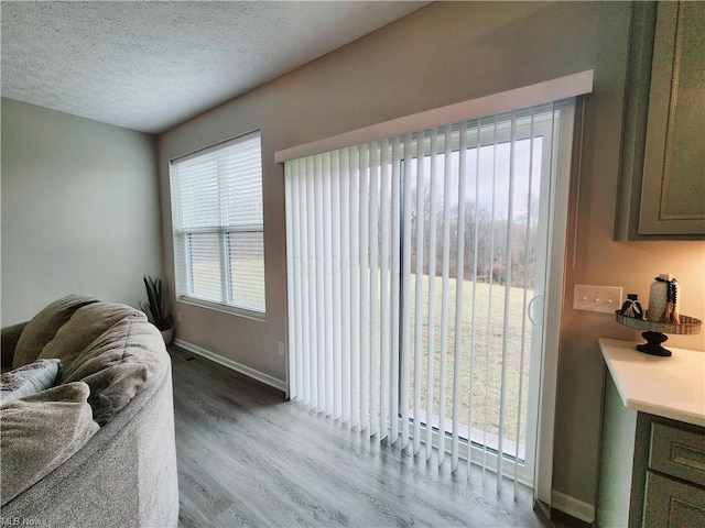 living room featuring hardwood / wood-style floors and a textured ceiling