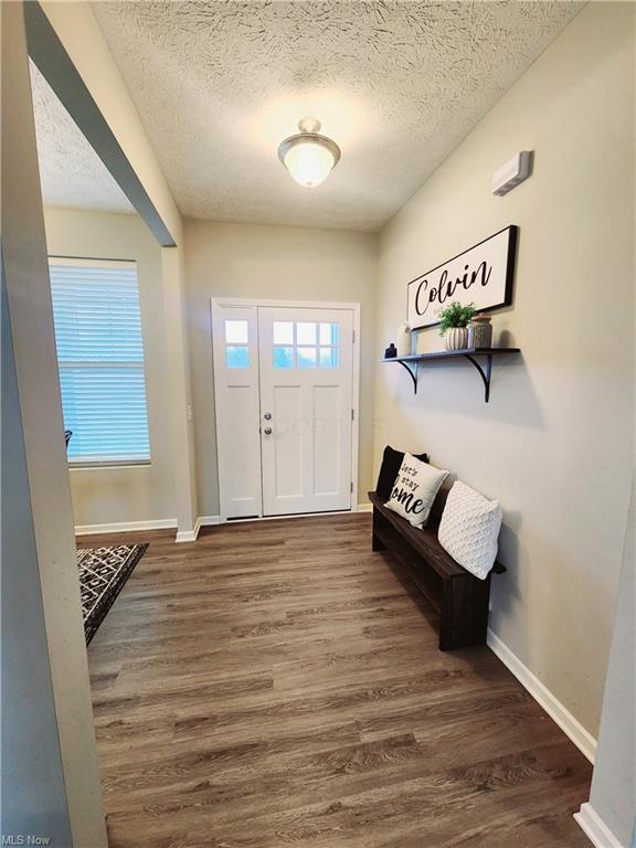 entryway with plenty of natural light, dark hardwood / wood-style floors, and a textured ceiling