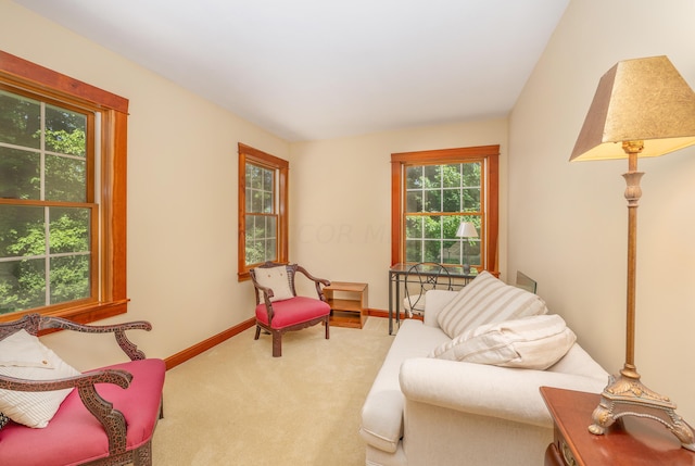 living area featuring carpet floors and a wealth of natural light