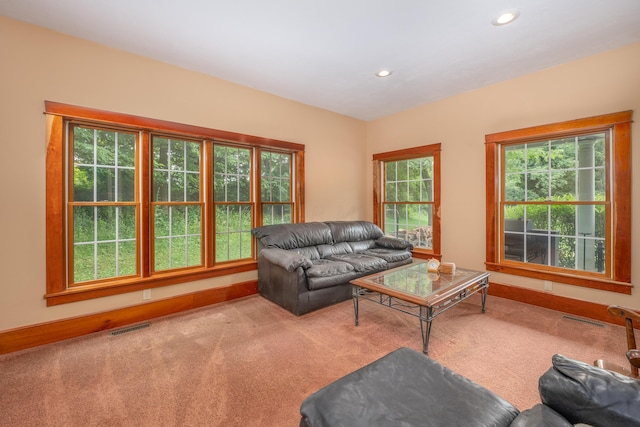 carpeted living room with plenty of natural light