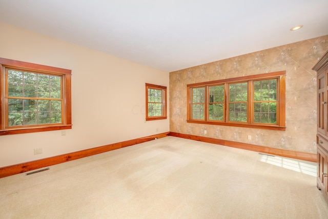 carpeted spare room with a wealth of natural light