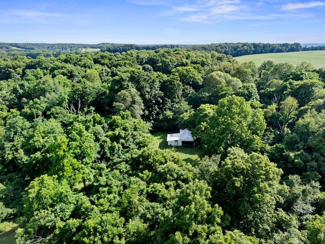 12943 Cooksey Rd, Utica, OH 43080 - view of property location with a forest