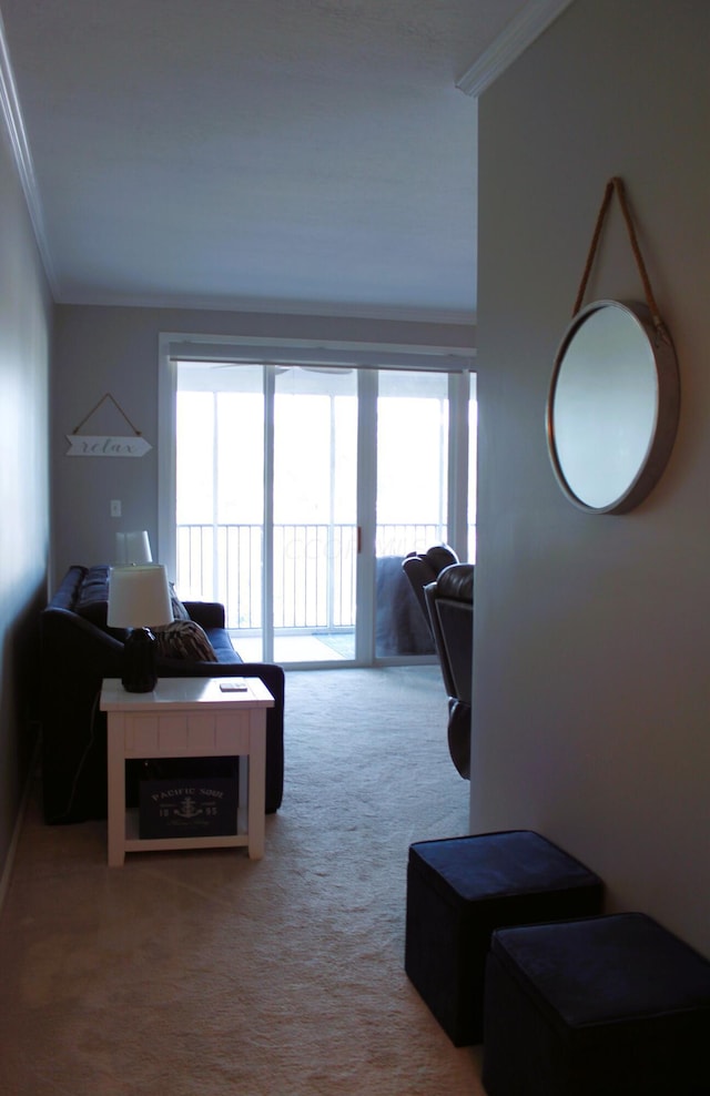 carpeted living room featuring plenty of natural light and crown molding