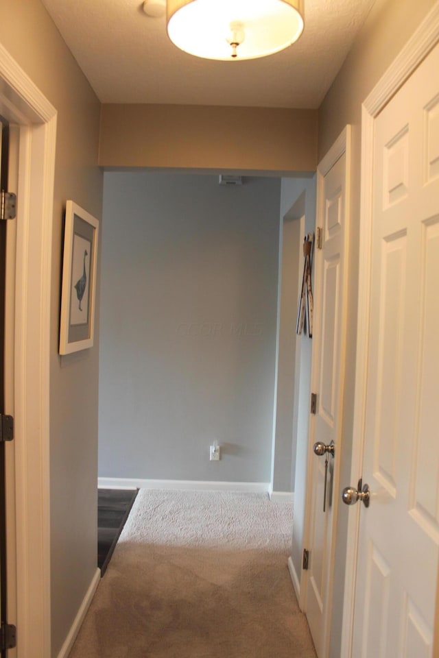 hallway featuring carpet floors