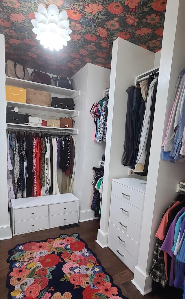 spacious closet with dark hardwood / wood-style floors