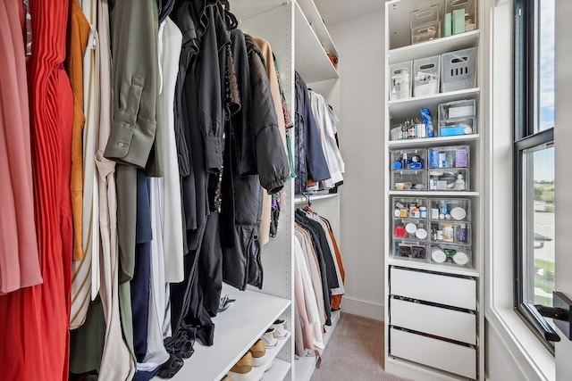 spacious closet featuring carpet