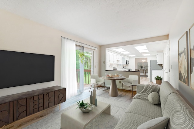 living room with light hardwood / wood-style flooring