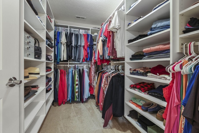 spacious closet with light carpet