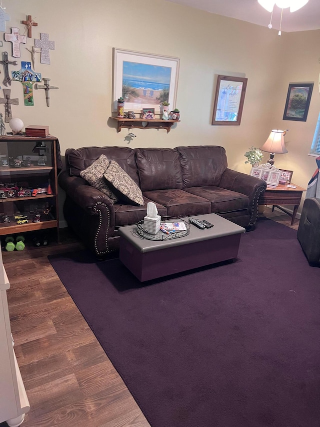 living room featuring hardwood / wood-style flooring