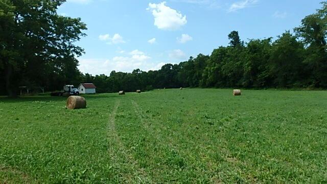 view of yard featuring a rural view