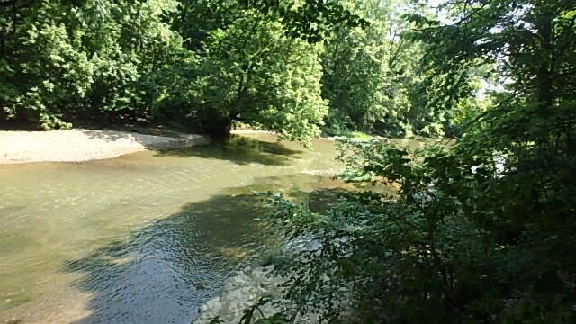 view of nature with a water view