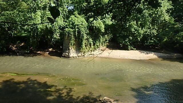 view of local wilderness with a water view