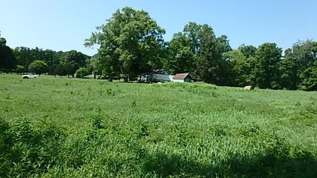 view of landscape featuring a rural view