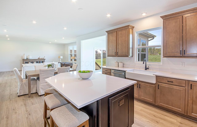 9931 Glenfield Ct Lot 37, Plain City, OH 43064 - kitchen with a healthy amount of sunlight, light wood-type flooring, and a sink