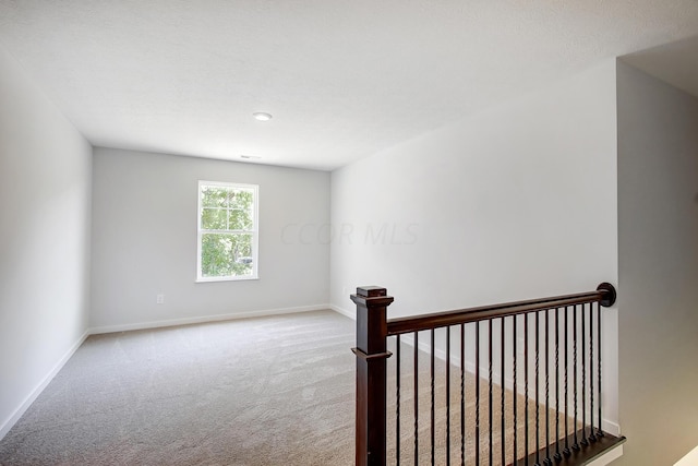 spare room featuring light carpet