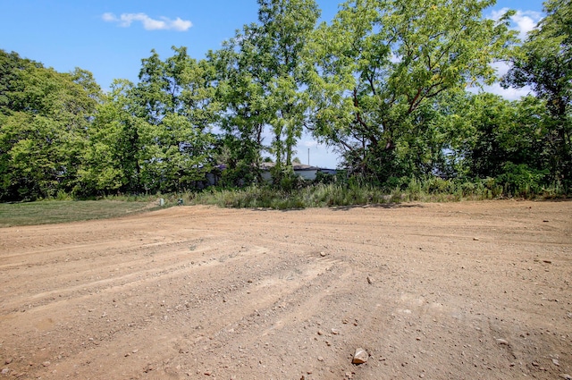 view of local wilderness