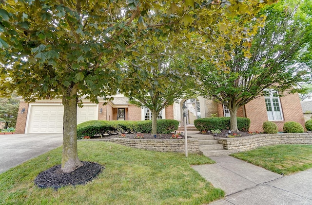 view of property hidden behind natural elements with a front lawn