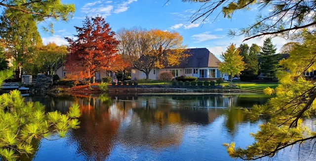 property view of water