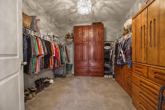 spacious closet featuring carpet