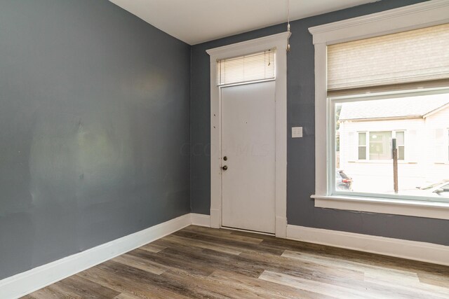 entryway featuring hardwood / wood-style flooring