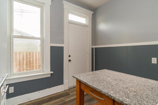 interior space with dark hardwood / wood-style floors