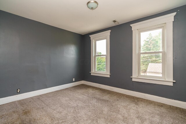 carpeted spare room featuring a wealth of natural light